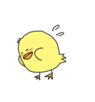 セリフなしぴよ！（個別スタンプ：1）