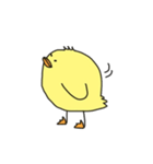 セリフなしぴよ！（個別スタンプ：2）