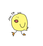 セリフなしぴよ！（個別スタンプ：11）