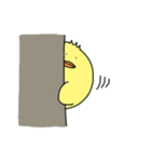 セリフなしぴよ！（個別スタンプ：13）