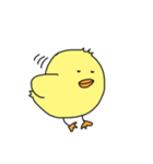 セリフなしぴよ！（個別スタンプ：15）