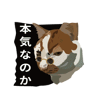 KIWIの日常生活（日本語）（個別スタンプ：8）