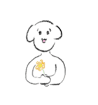 白いわんさん（個別スタンプ：12）