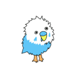 相手に不満がある時に使う用インコちゃん達（個別スタンプ：1）