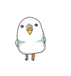 相手に不満がある時に使う用インコちゃん達（個別スタンプ：2）