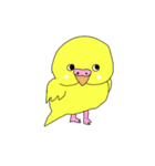 相手に不満がある時に使う用インコちゃん達（個別スタンプ：3）