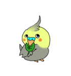 相手に不満がある時に使う用インコちゃん達（個別スタンプ：5）