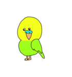 相手に不満がある時に使う用インコちゃん達（個別スタンプ：7）