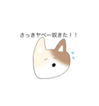 誰かさんのにゃんこん（個別スタンプ：15）