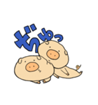 ぶたぶたこぶた（個別スタンプ：1）