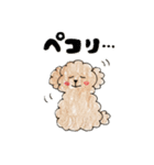 ココちゃんスタンプ(手描き)（個別スタンプ：5）