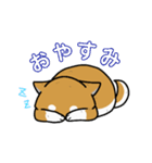 もちもちゆるっと柴犬スタンプ！（個別スタンプ：2）