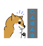 もちもちゆるっと柴犬スタンプ！（個別スタンプ：4）