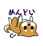 もちもちゆるっと柴犬スタンプ！（個別スタンプ：7）