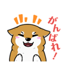 もちもちゆるっと柴犬スタンプ！（個別スタンプ：8）