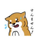 もちもちゆるっと柴犬スタンプ！（個別スタンプ：10）
