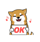 もちもちゆるっと柴犬スタンプ！（個別スタンプ：13）