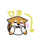 もちもちゆるっと柴犬スタンプ！（個別スタンプ：15）