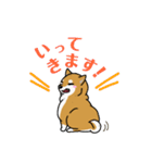 もちもちゆるっと柴犬スタンプ！（個別スタンプ：17）