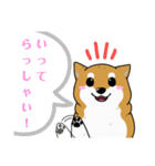 もちもちゆるっと柴犬スタンプ！（個別スタンプ：18）