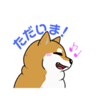 もちもちゆるっと柴犬スタンプ！（個別スタンプ：19）