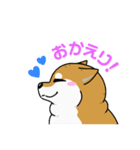 もちもちゆるっと柴犬スタンプ！（個別スタンプ：20）