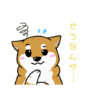 もちもちゆるっと柴犬スタンプ！（個別スタンプ：22）
