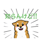 もちもちゆるっと柴犬スタンプ！（個別スタンプ：23）