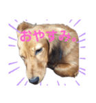 Tomoe-san 1（個別スタンプ：5）