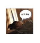 C組の仲間たち（個別スタンプ：5）