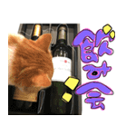 爆ぜつかわいい猫めかこん！！！（個別スタンプ：4）