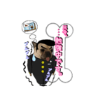 犬スタンプ ココ☆（個別スタンプ：3）