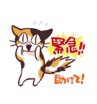 はじめてのスタンプ☆FITTER☆（個別スタンプ：24）
