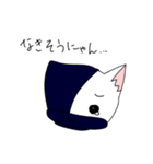 にんじゃにゃん！（個別スタンプ：13）