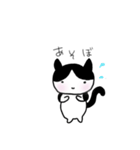 ノラネコくろまめ。（個別スタンプ：1）