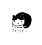 ノラネコくろまめ。（個別スタンプ：4）