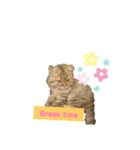 Jesseスタンプ（個別スタンプ：6）