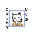 paint iroiro（個別スタンプ：5）