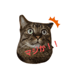 イケメンふうた君が見せる表情（個別スタンプ：2）