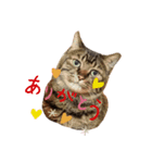 イケメンふうた君が見せる表情（個別スタンプ：4）