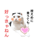 白黒ネコの関西弁（個別スタンプ：2）