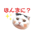 白黒ネコの関西弁（個別スタンプ：14）