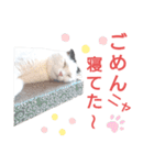 白黒ネコの関西弁（個別スタンプ：28）