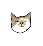 要求がエスカレートするねこ（個別スタンプ：1）