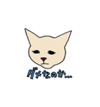 要求がエスカレートするねこ（個別スタンプ：2）