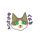 要求がエスカレートするねこ（個別スタンプ：7）