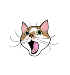 要求がエスカレートするねこ（個別スタンプ：8）
