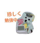 くみんちゃんパートⅡ（個別スタンプ：1）