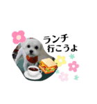 くみんちゃんパートⅡ（個別スタンプ：4）