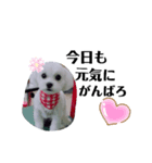 くみんちゃんパートⅡ（個別スタンプ：7）